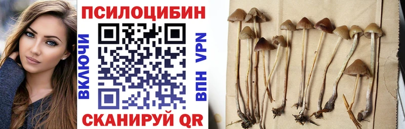 Галлюциногенные грибы мицелий  МЕГА как войти  Кудрово 